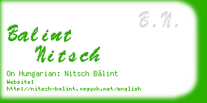 balint nitsch business card